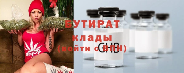 гидра Богородицк