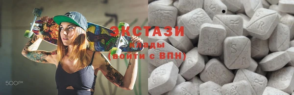 гидра Богородицк