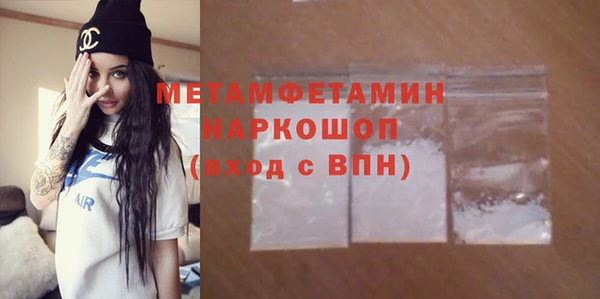 гидра Богородицк