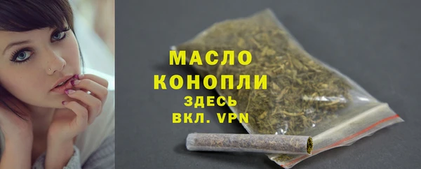 гидра Богородицк