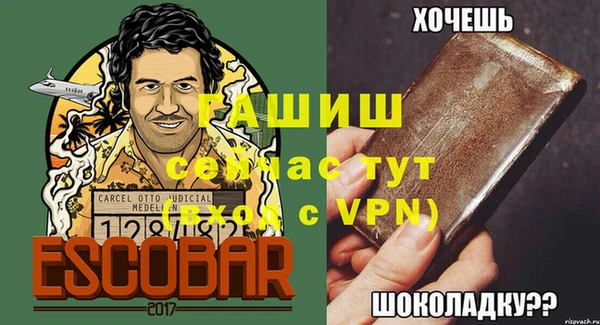 гидра Богородицк