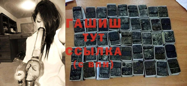 гидра Богородицк