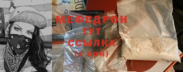 гидра Богородицк