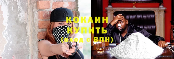 гидра Богородицк