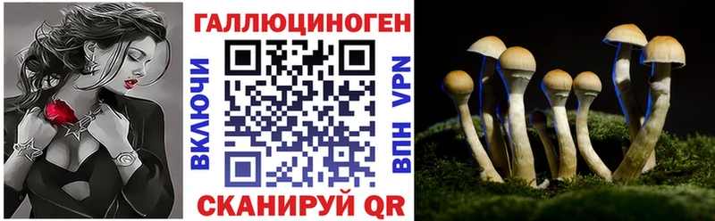Псилоцибиновые грибы ЛСД Мышкин