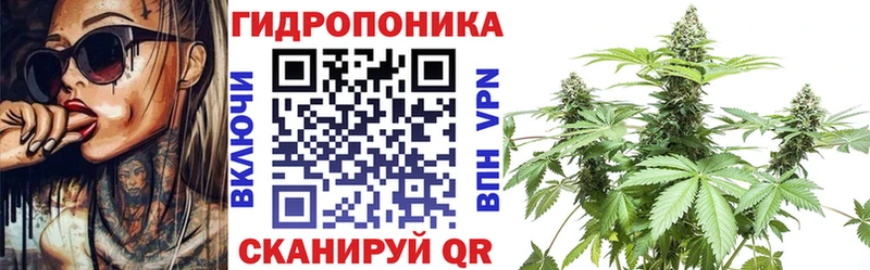 Каннабис сатива  KRAKEN ТОР  Мышкин 